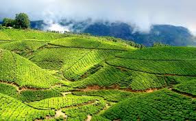 Honeymoon in Kerala With Houseboat KR001