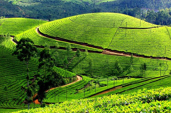 Unbelievable Munnar KRM01